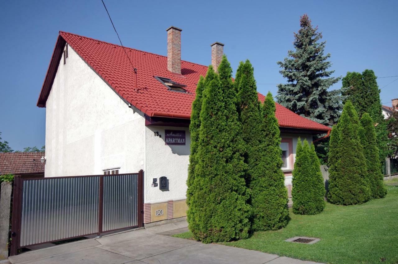 Amalia Apartman Gyula Buitenkant foto