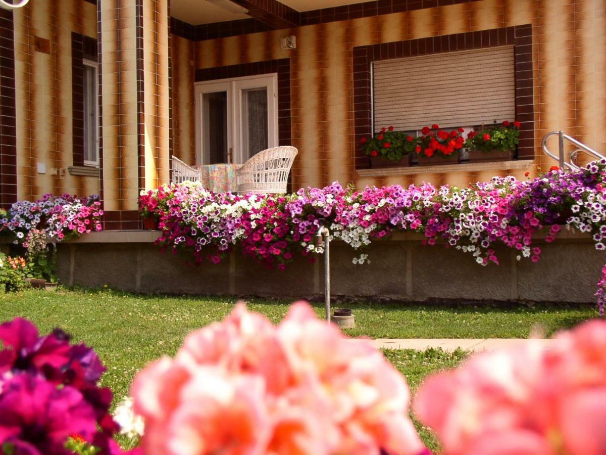 Amalia Apartman Gyula Buitenkant foto