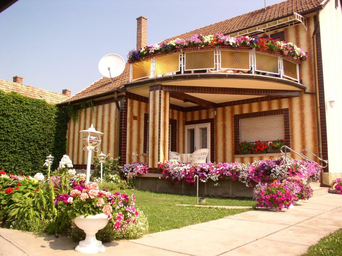 Amalia Apartman Gyula Buitenkant foto